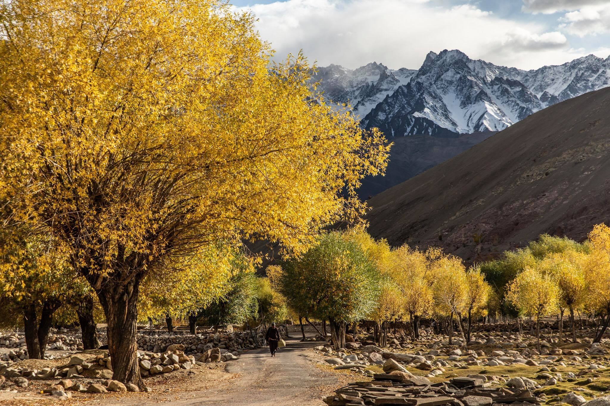 kham pha ve dep day Himalaya anh 9