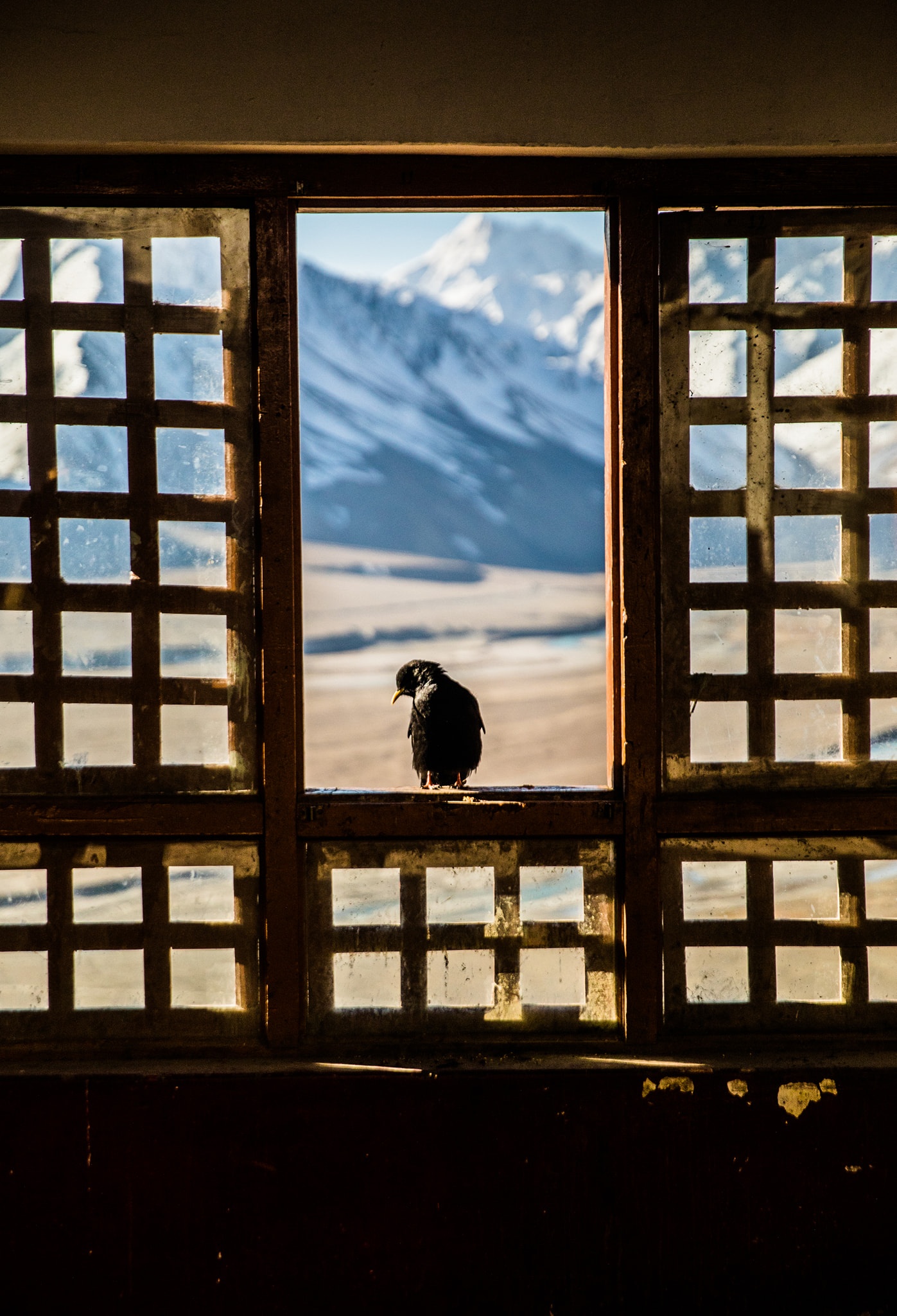 kham pha ve dep day Himalaya anh 41