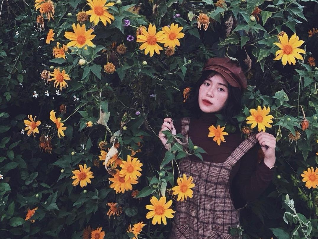 Hoa da quy, doi co hong me man gioi tre toi Da Lat check-in hinh anh