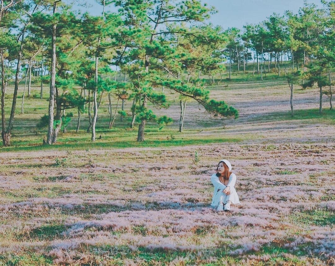 Mua hoa thang 11 anh 9