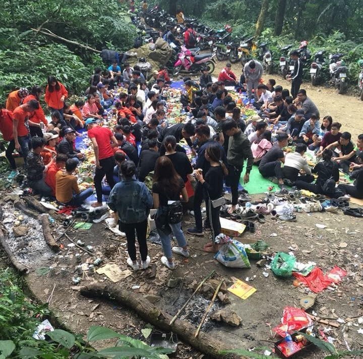 Hoa dã quỳ Ba Vì ảnh 3 Hoa da quy Ba Vi anh 3