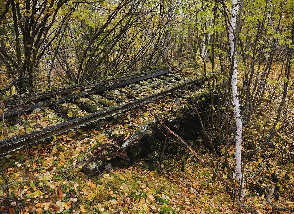 Duong sat chau Au anh 10