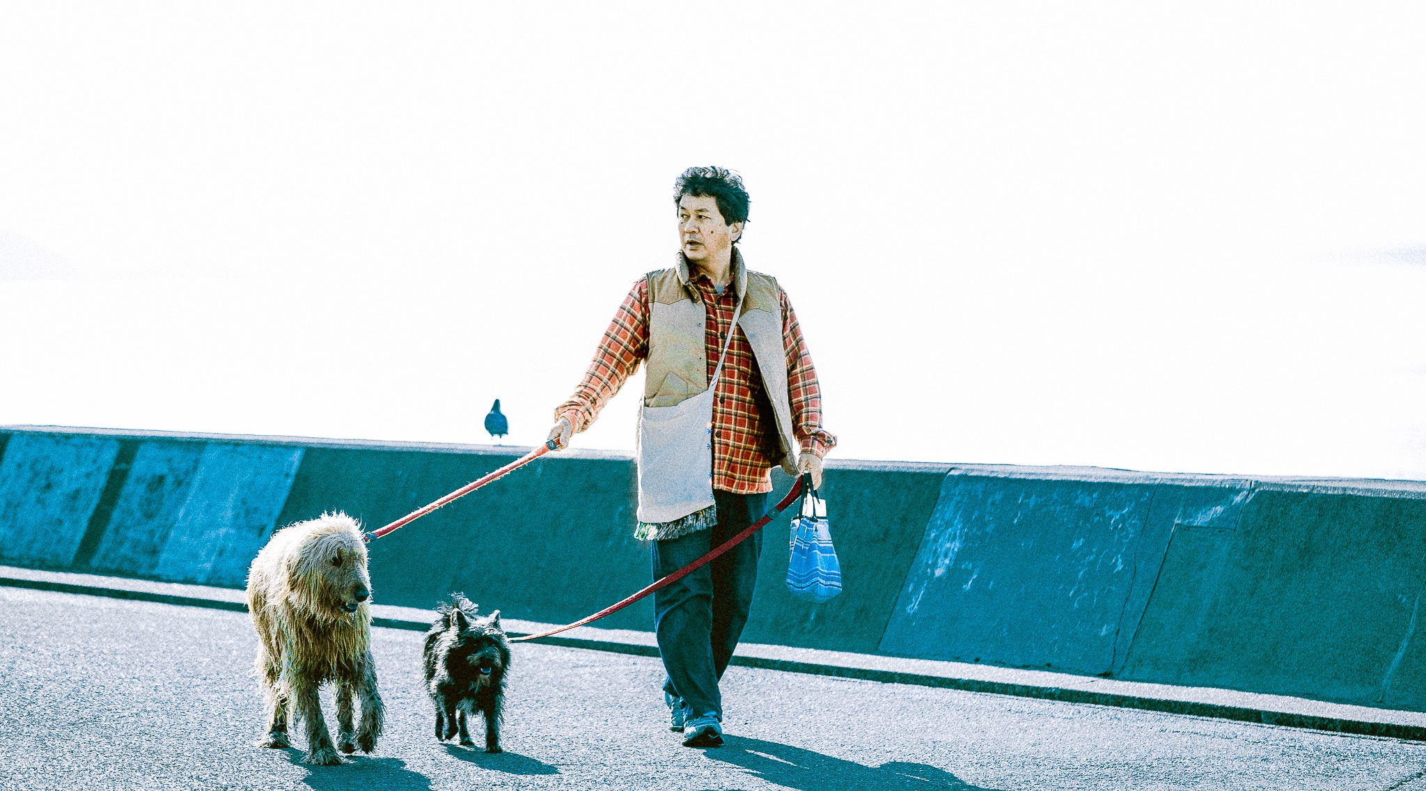 Den Nhat Ban mua tuyet roi, lang nghe thanh am cua bien hinh anh