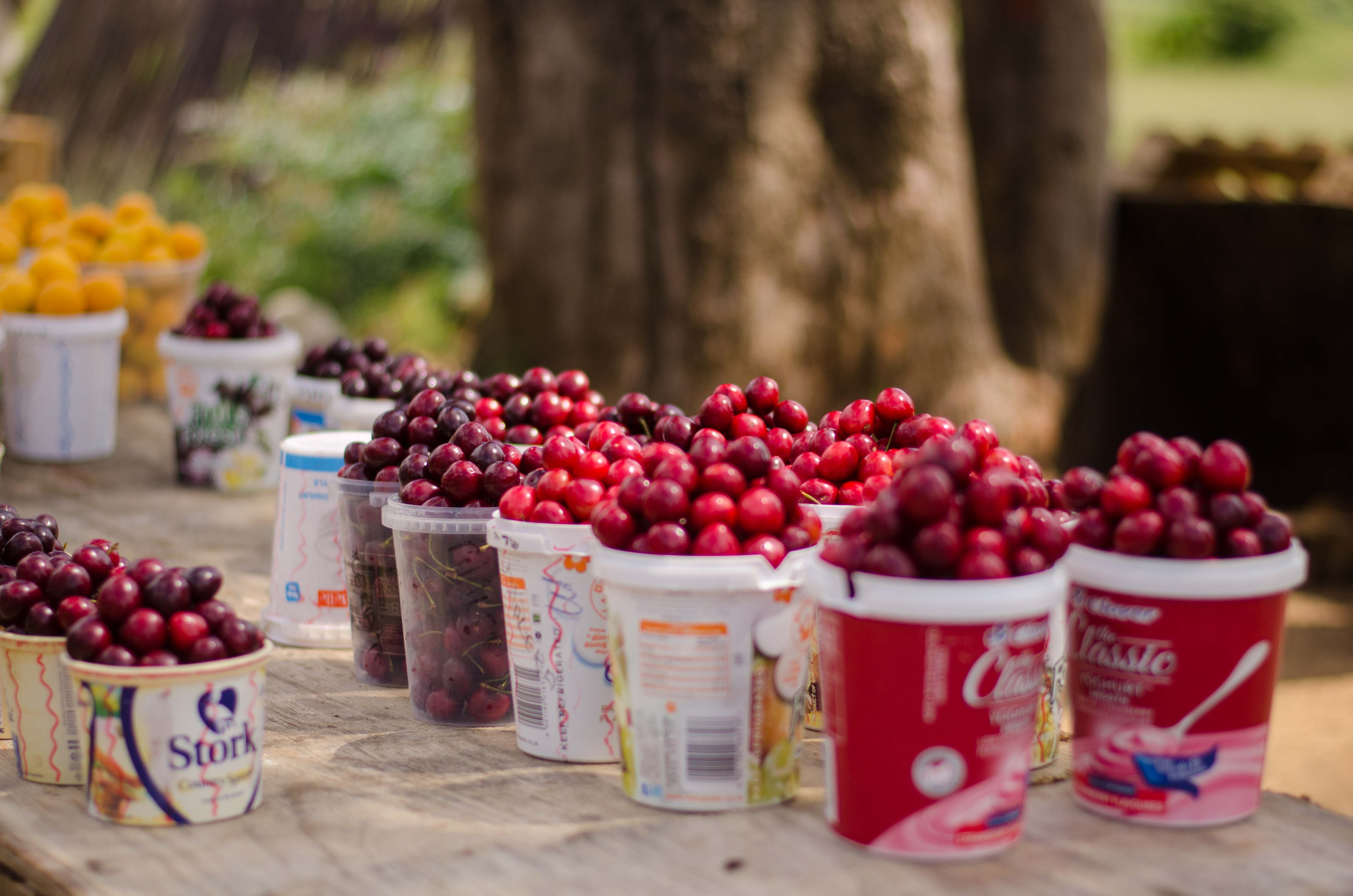 Le hoi thang 11 anh 3