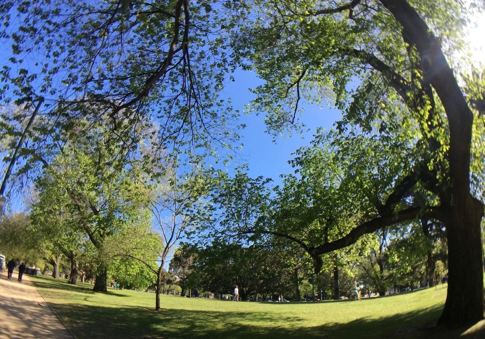 Dai tuong niem o Melbourne anh 4