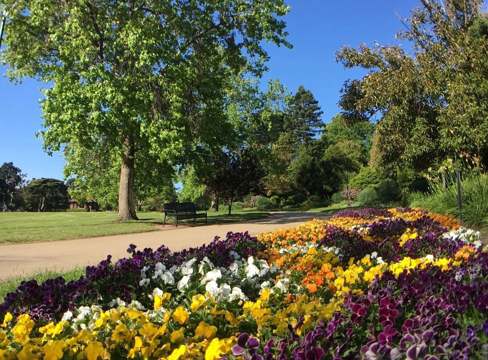 Dai tuong niem o Melbourne anh 5