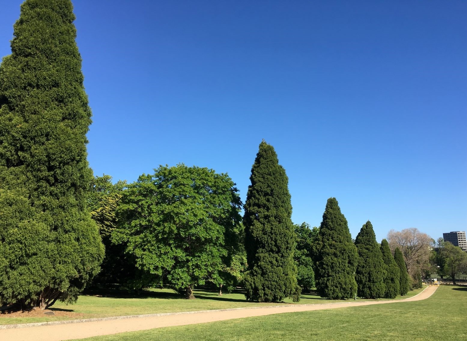 Dai tuong niem o Melbourne anh 3