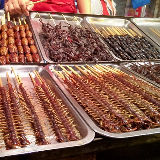 Mon an kinh di chau A anh 10