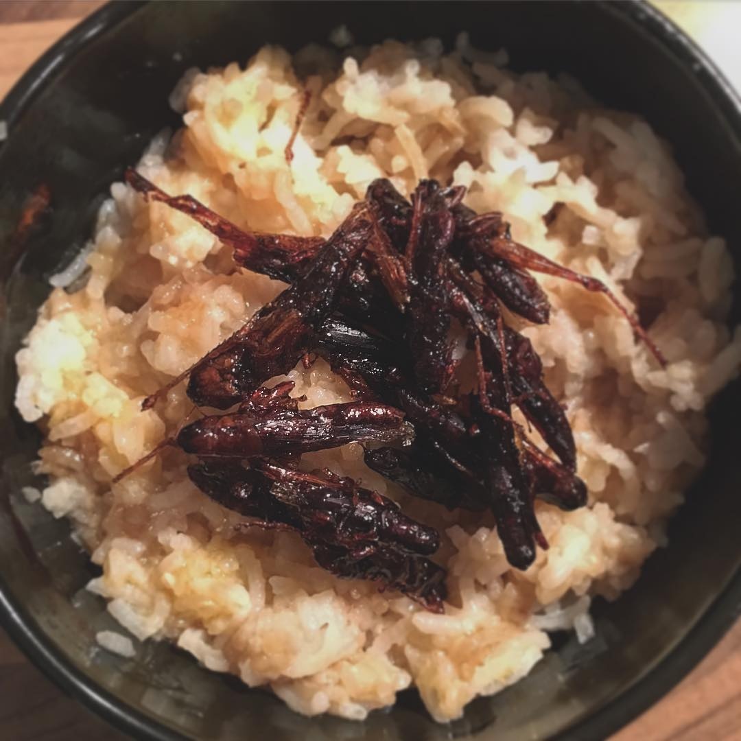 Mon an kinh di chau A anh 2