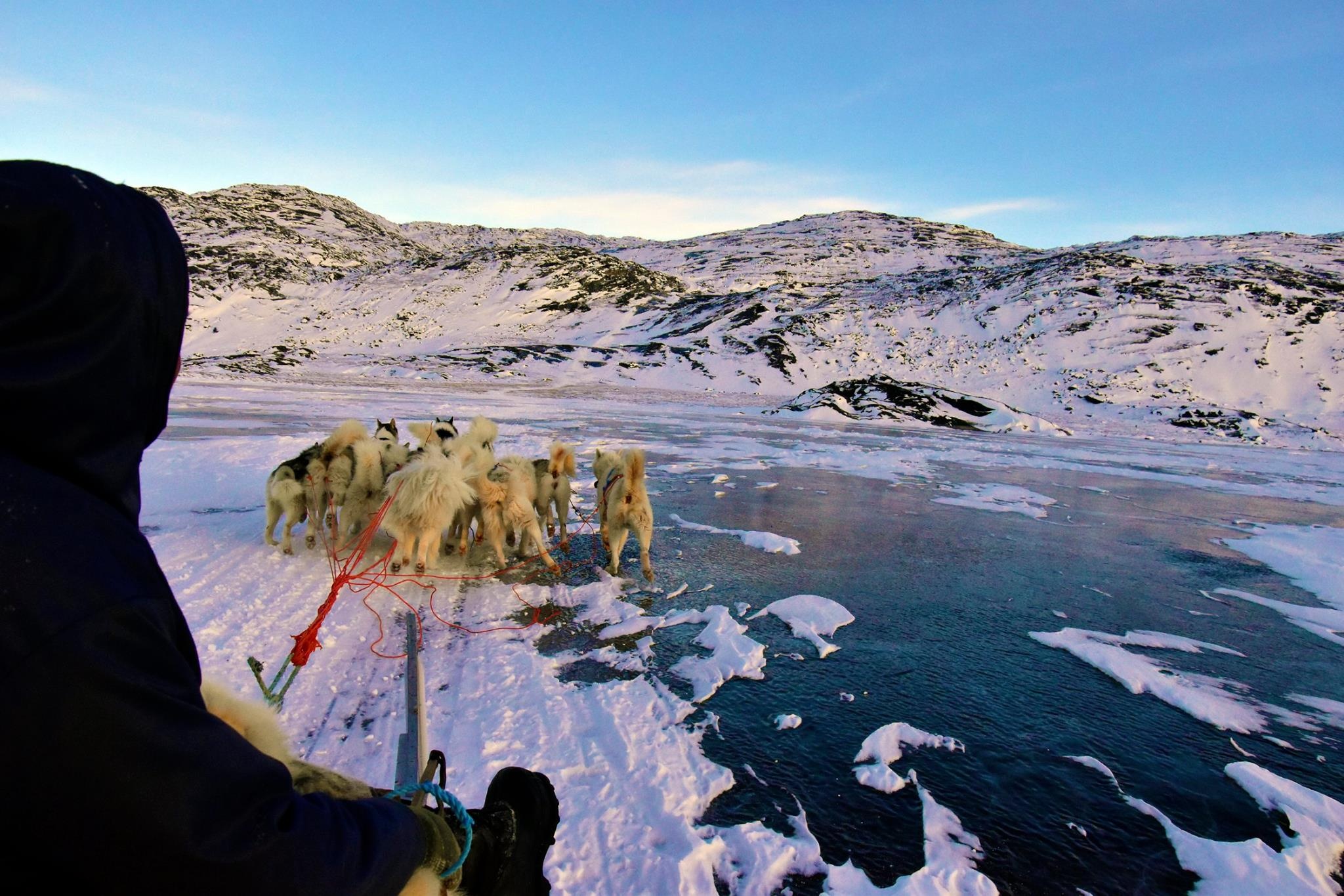 San hai cau o Greenland anh 4