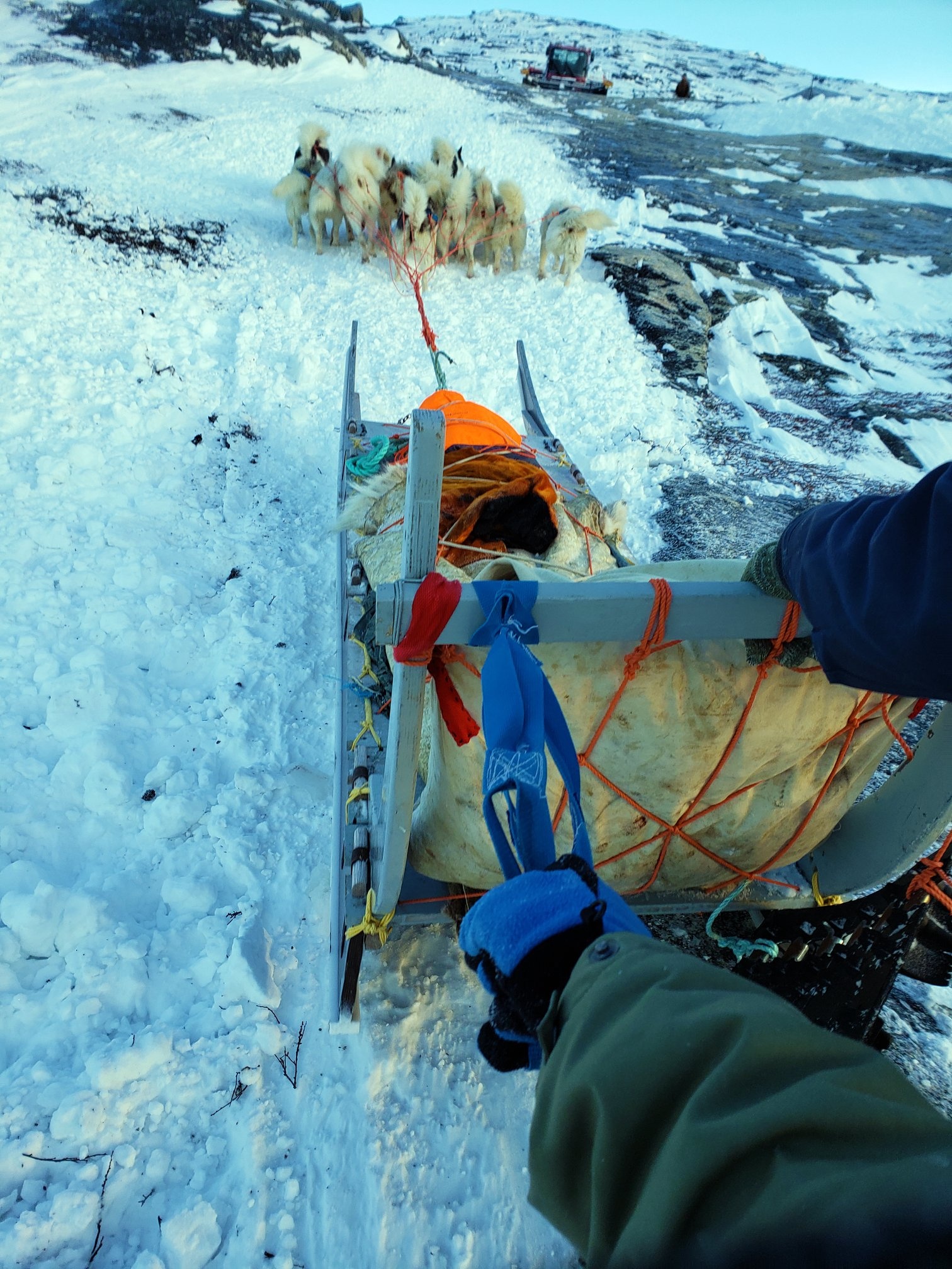 San hai cau o Greenland anh 5