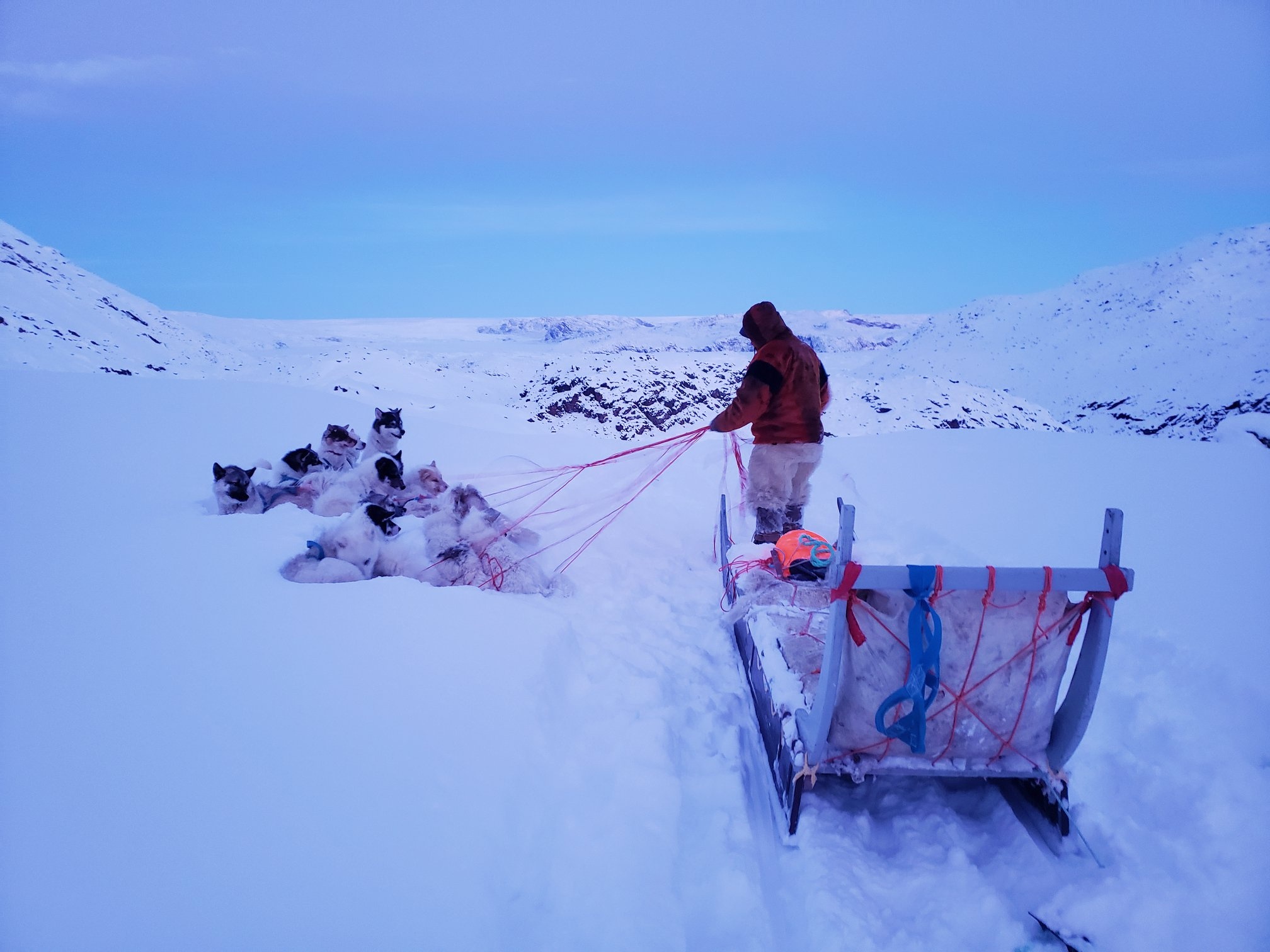 San hai cau o Greenland anh 6