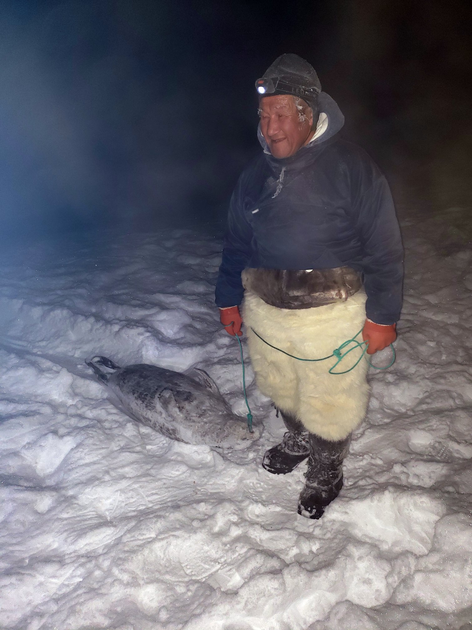 San hai cau o Greenland anh 22