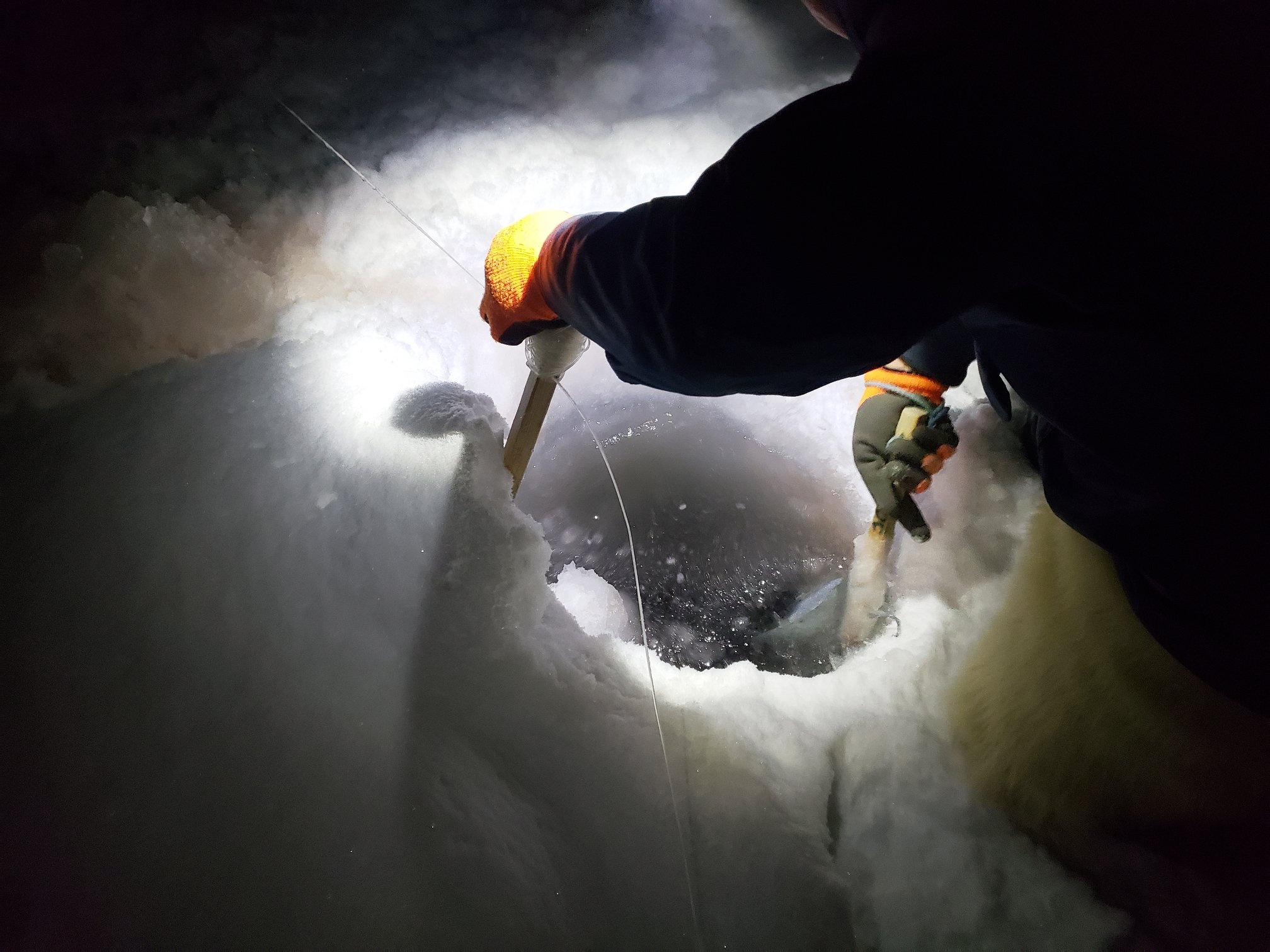 San hai cau o Greenland anh 23