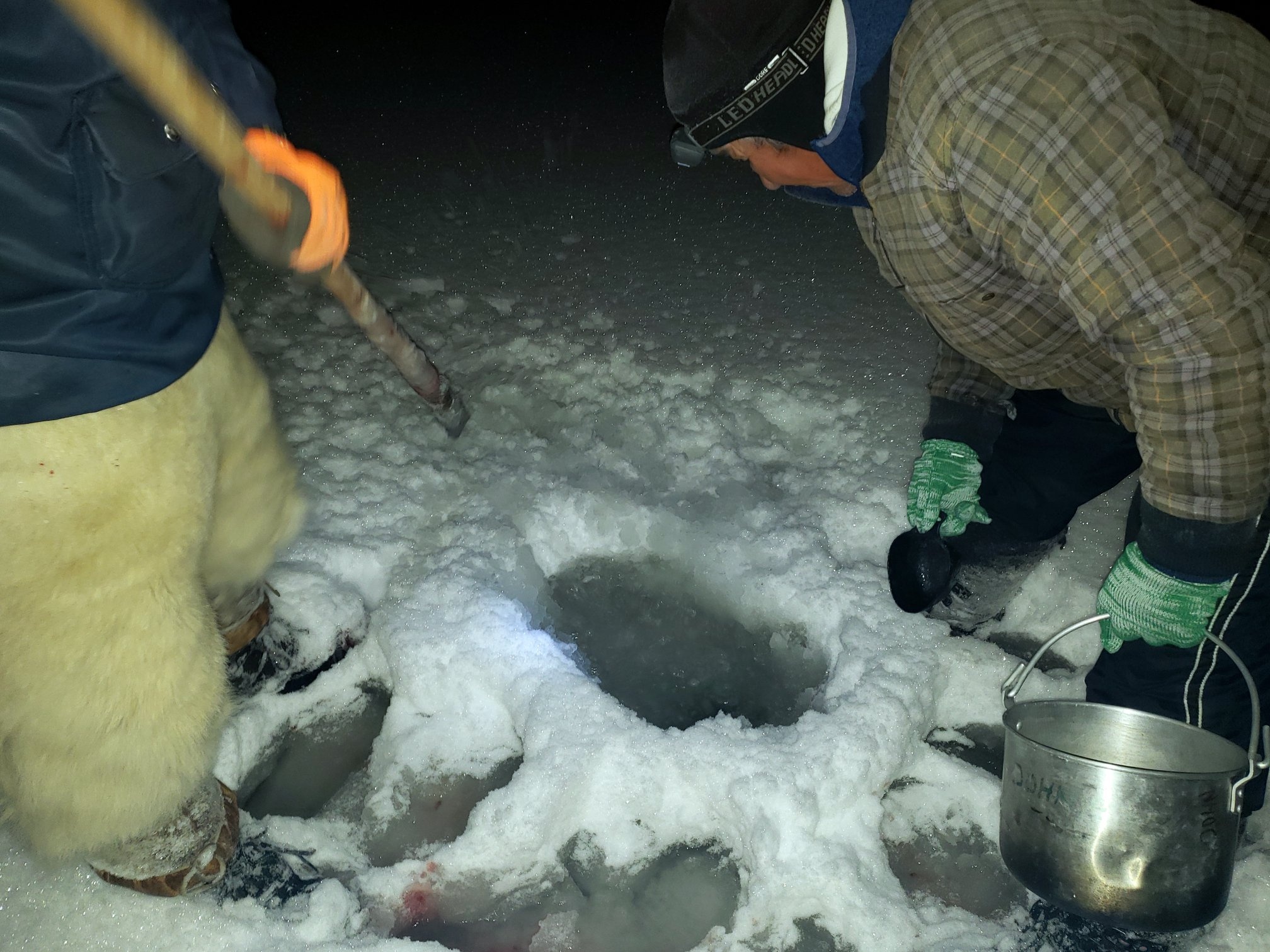 San hai cau o Greenland anh 27