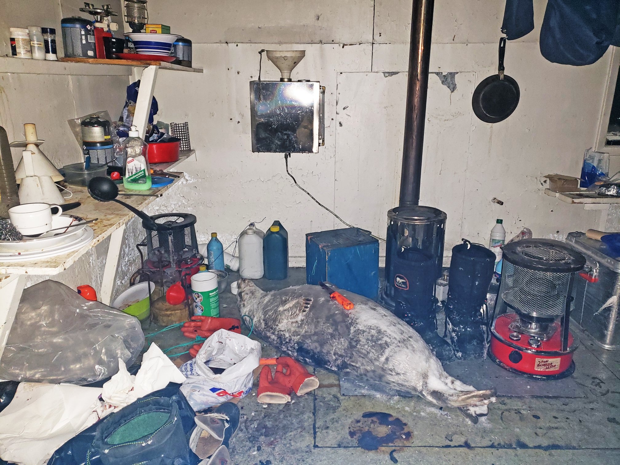 San hai cau o Greenland anh 28