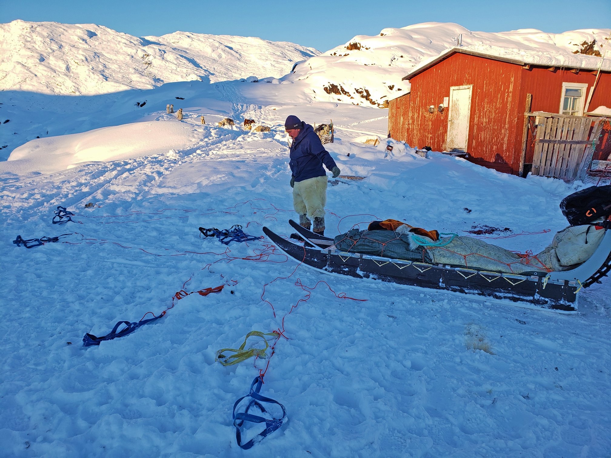 San hai cau o Greenland anh 7