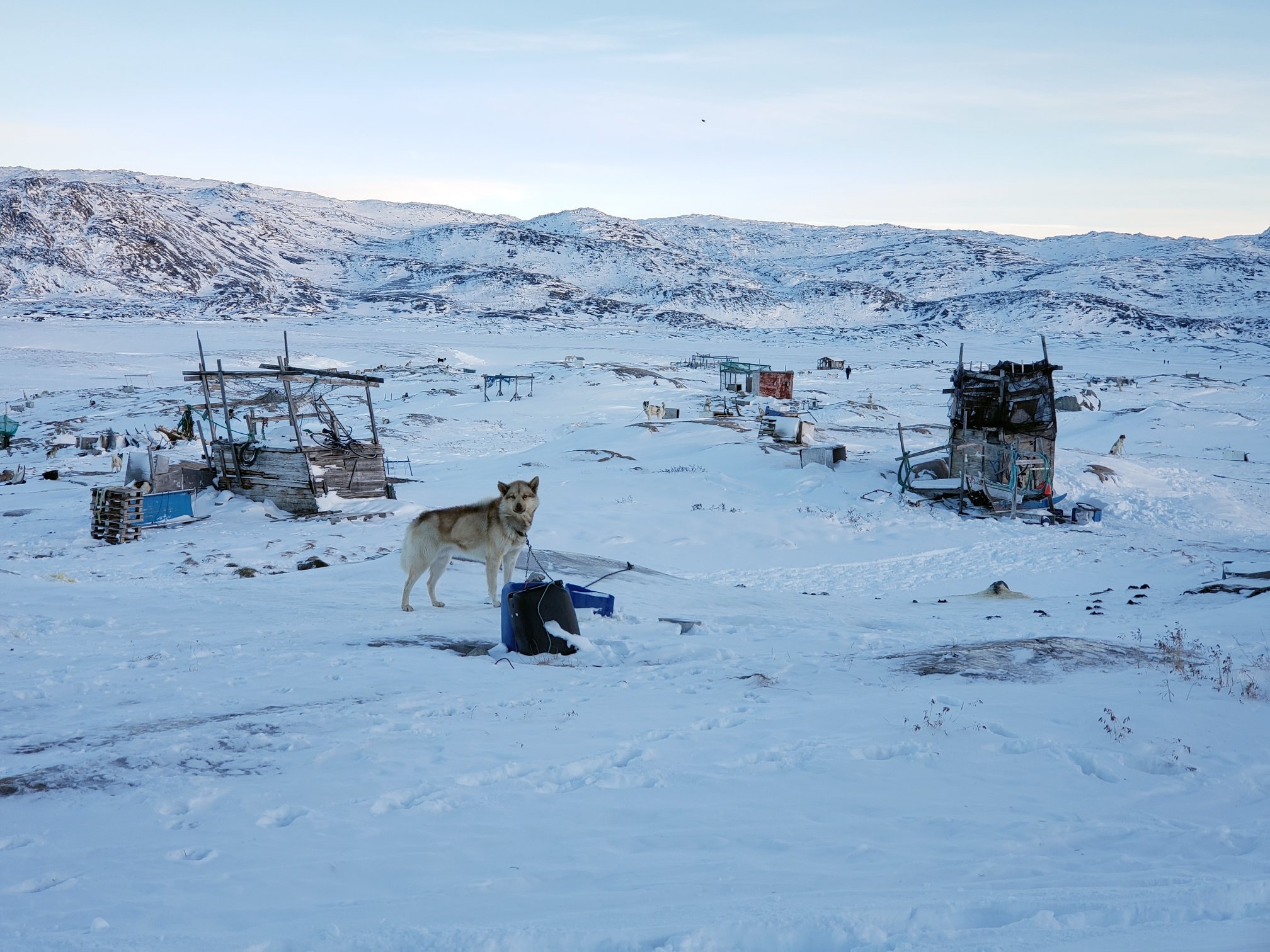 San hai cau o Greenland anh 11