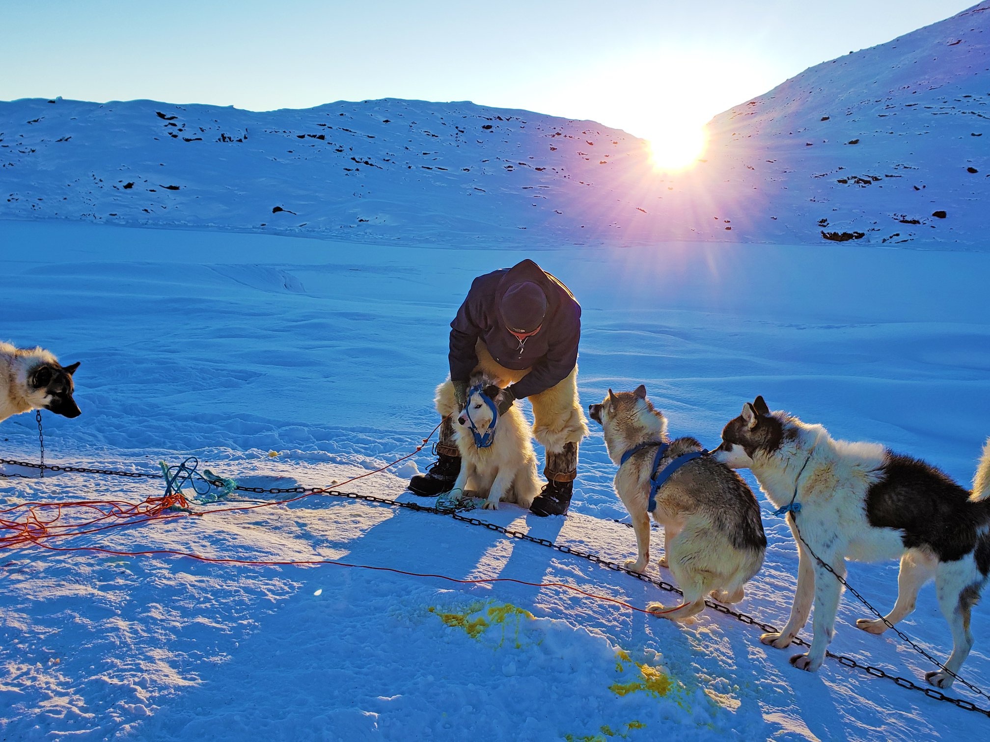 San hai cau o Greenland anh 20