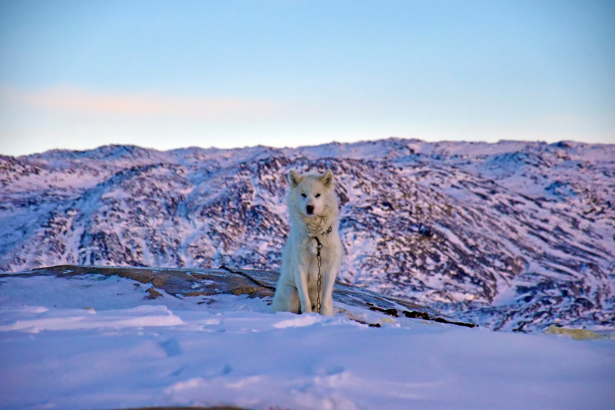 San hai cau o Greenland anh 12