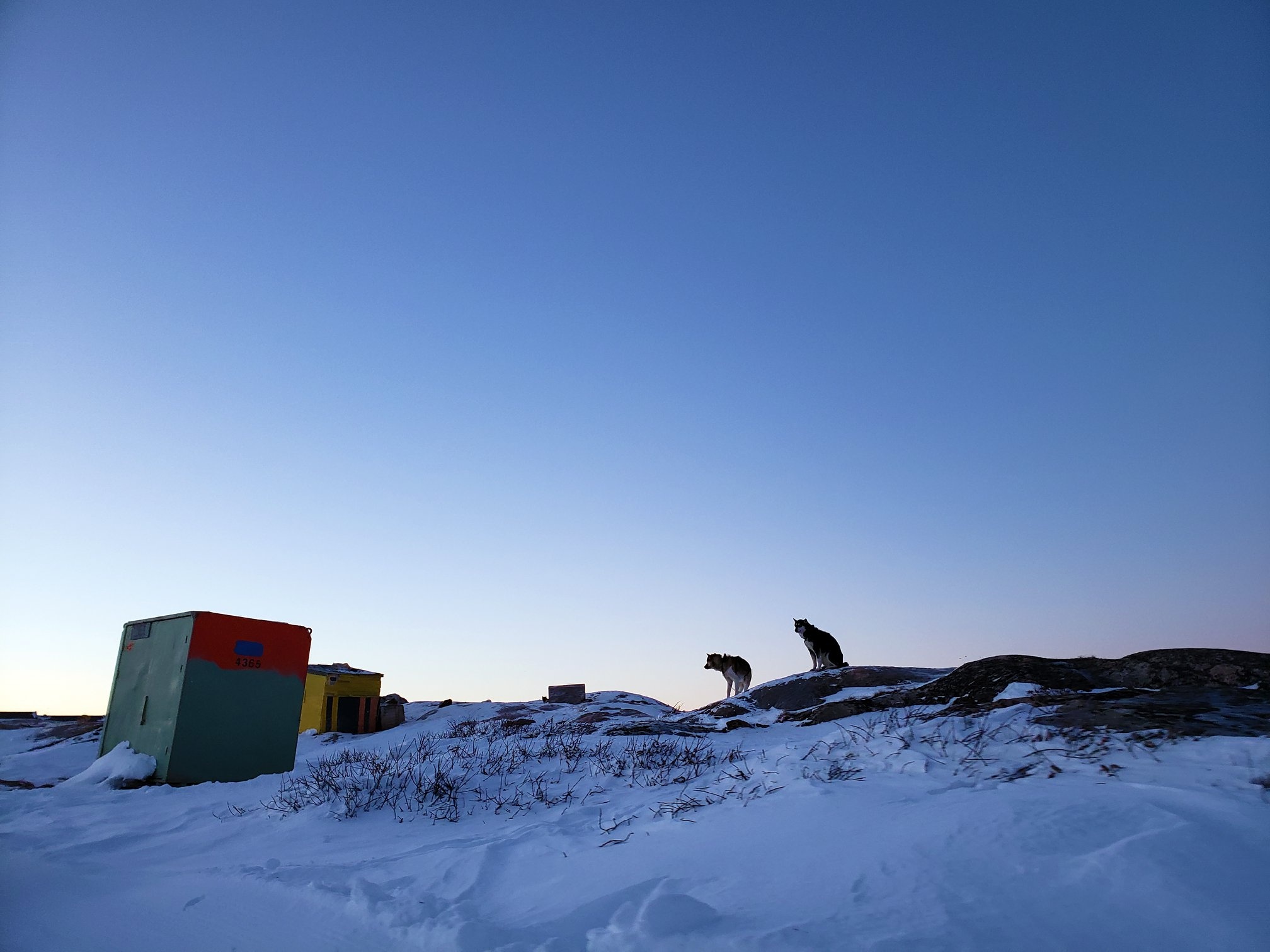 San hai cau o Greenland anh 40