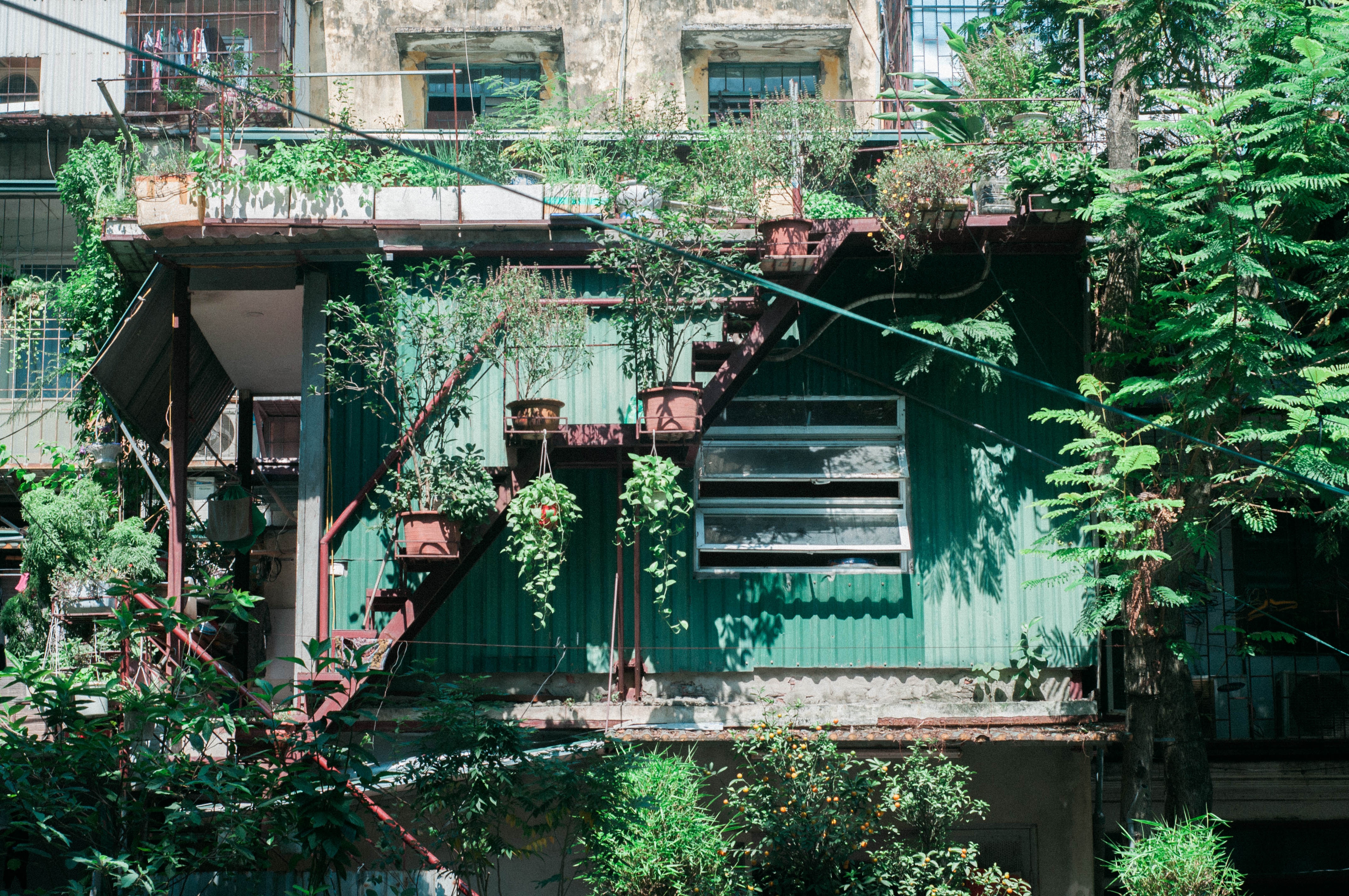 Khach san bo hoang o Nhat anh 5