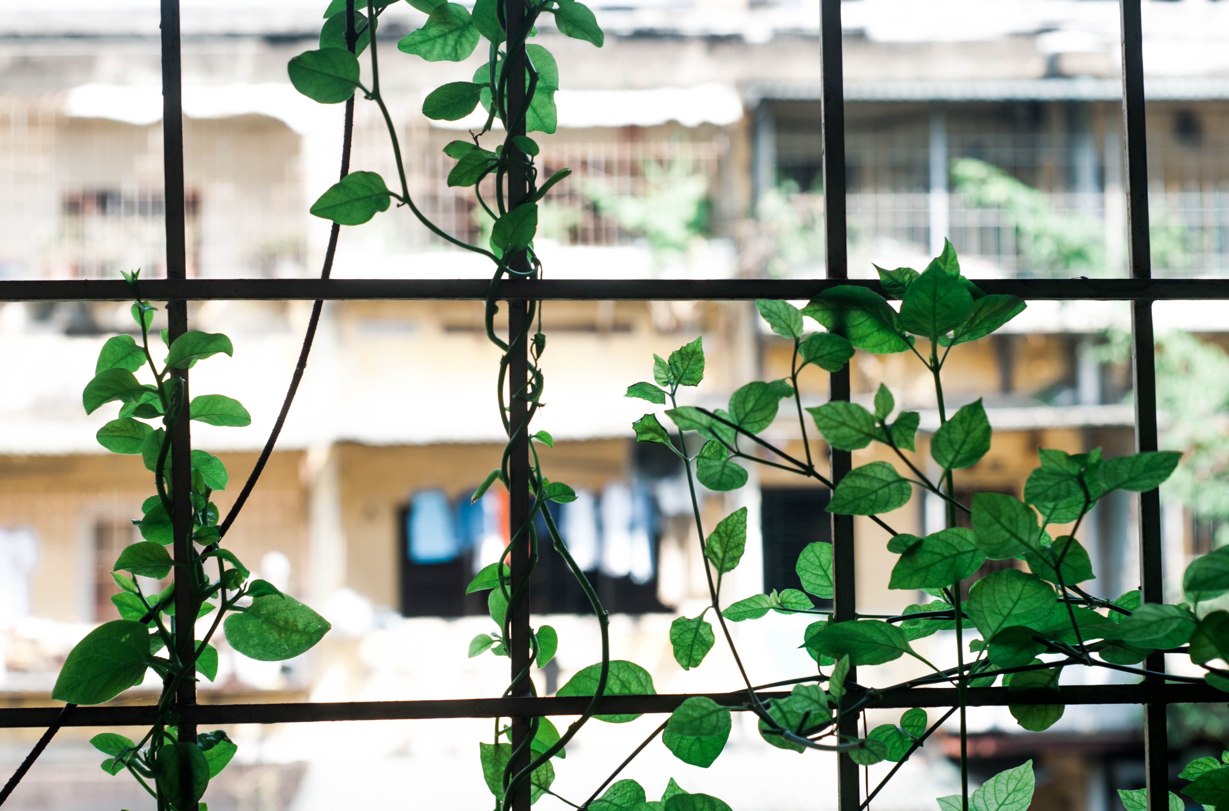 Khach san bo hoang o Nhat anh 9