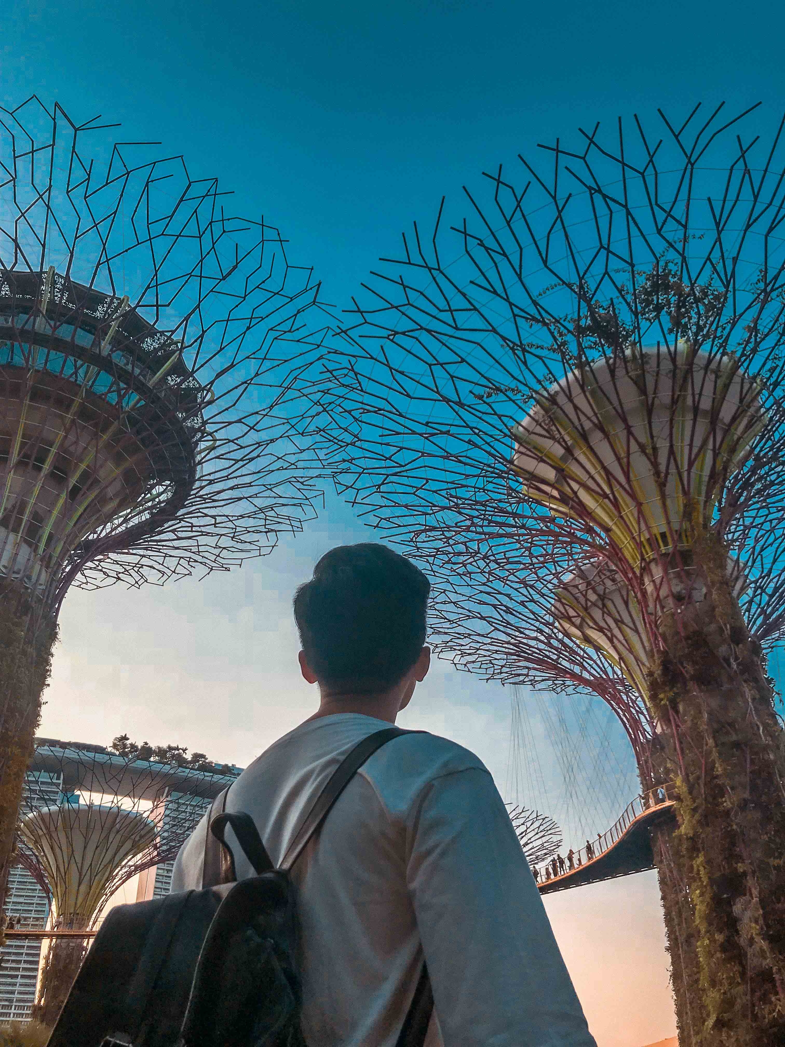 du lịch singapore ảnh 7 du lich singapore anh 7