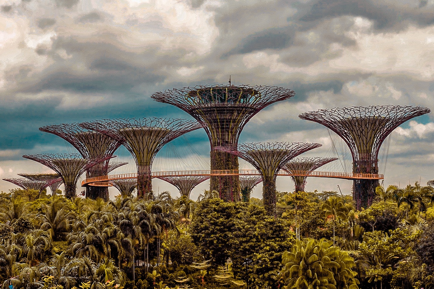 Kinh nghiem 3 ngay phieu bat khap dat Singapore hinh anh