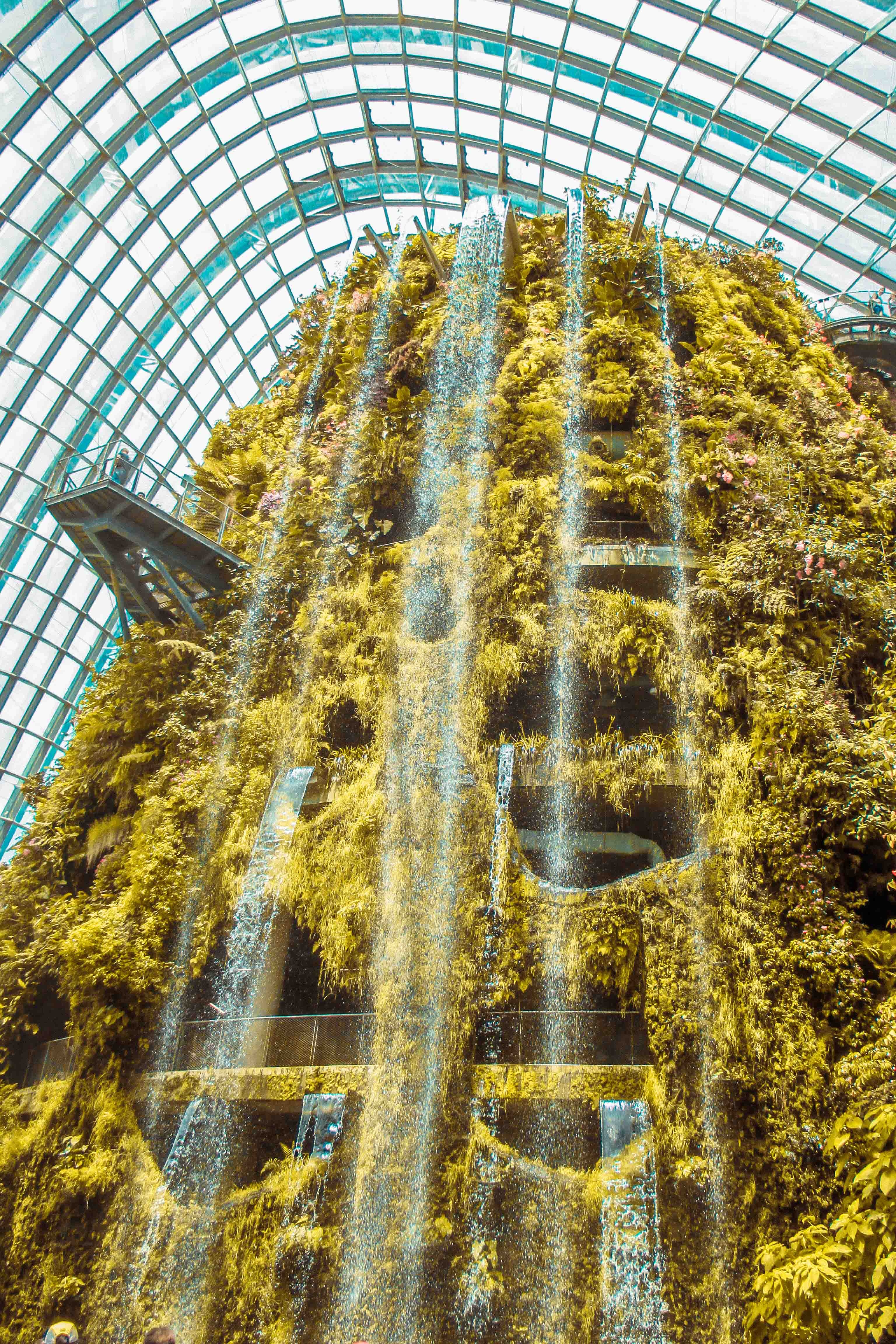 du lịch singapore ảnh 4 du lich singapore anh 4