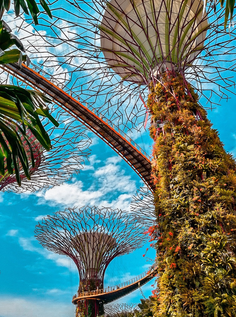 du lịch singapore ảnh 8 du lich singapore anh 8
