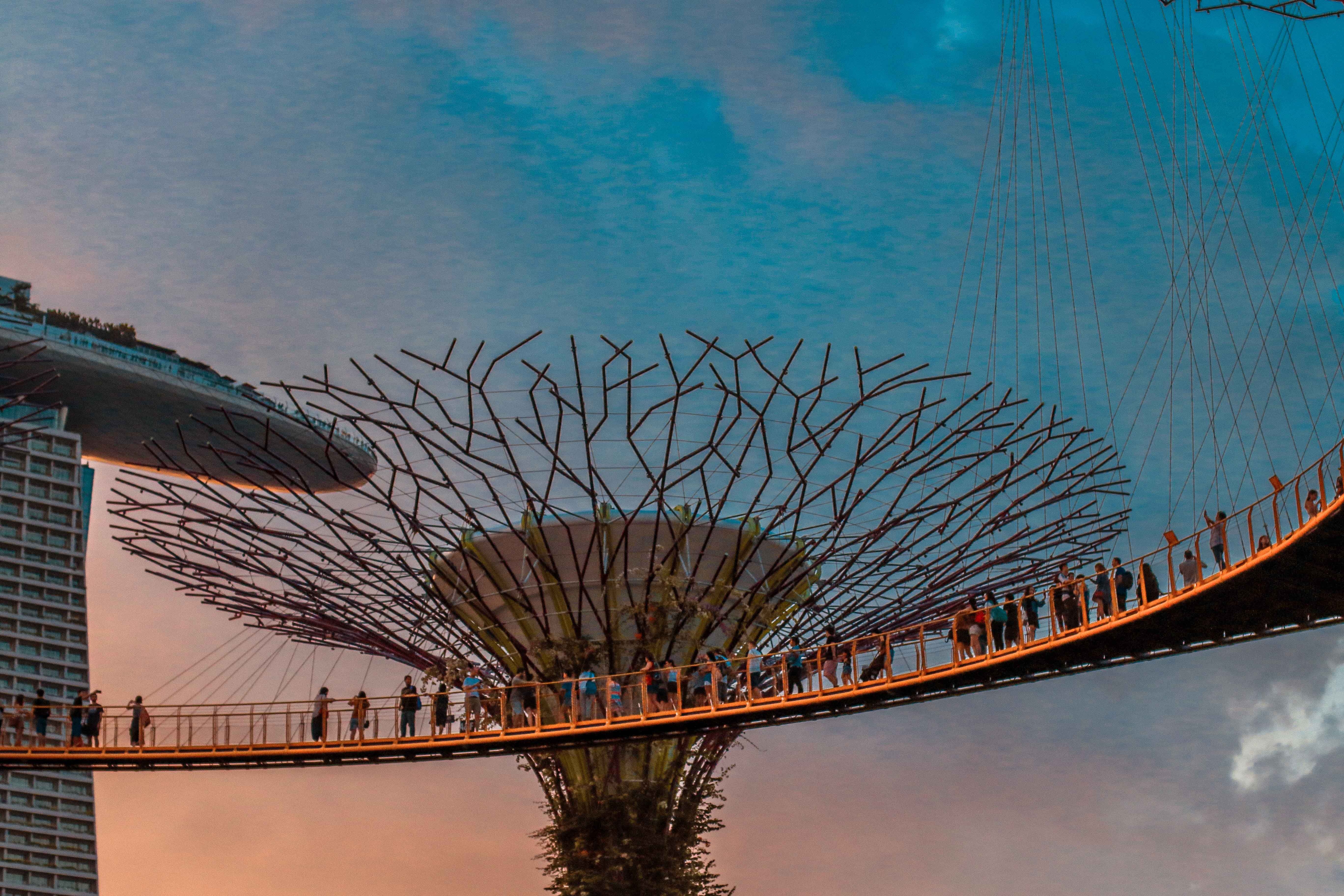 du lịch singapore ảnh 6 du lich singapore anh 6