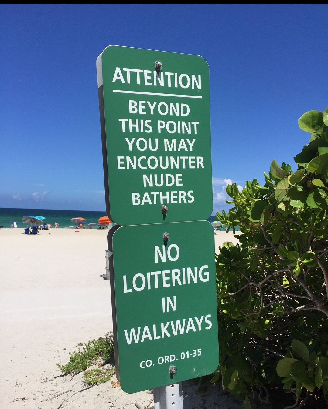 Bai bien khoa than anh 7