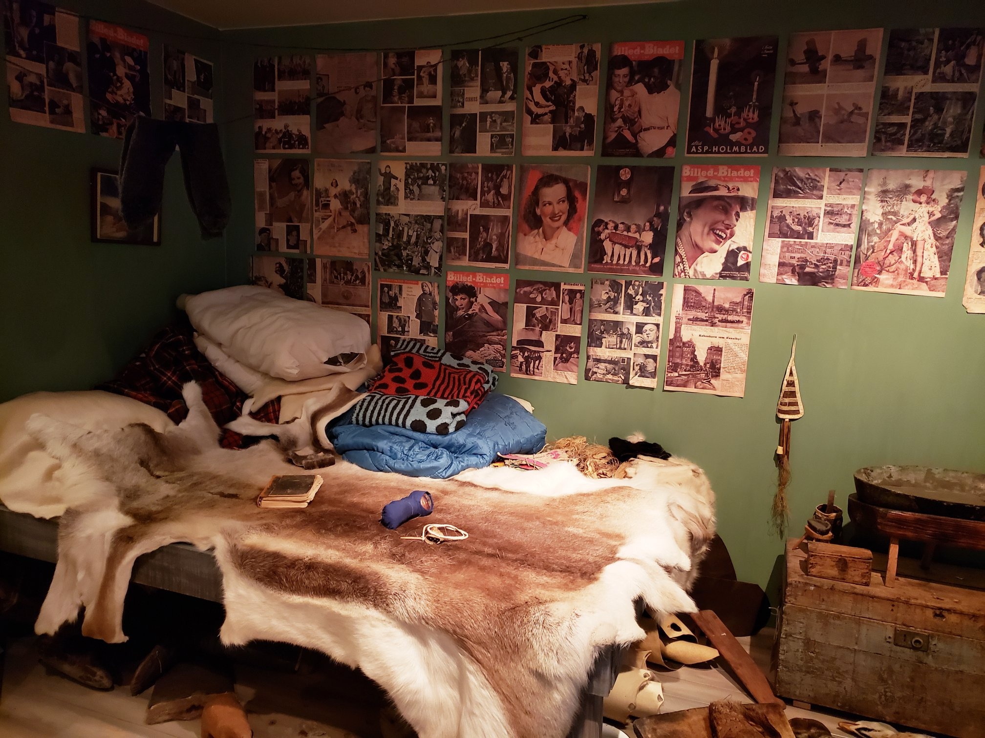 Cau chuyen Greenland anh 15