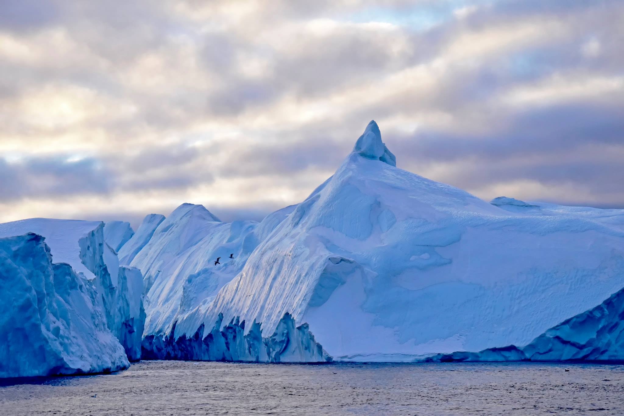 Cau chuyen Greenland anh 46