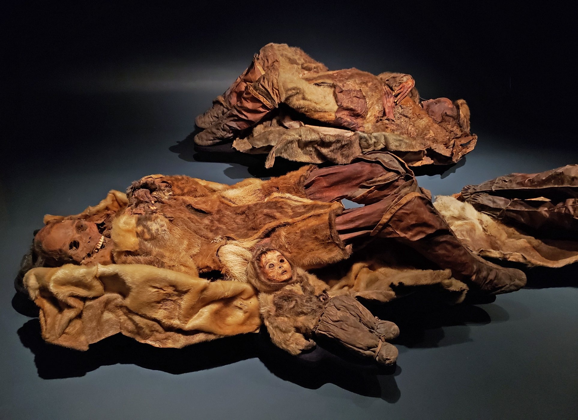 Cau chuyen Greenland anh 19