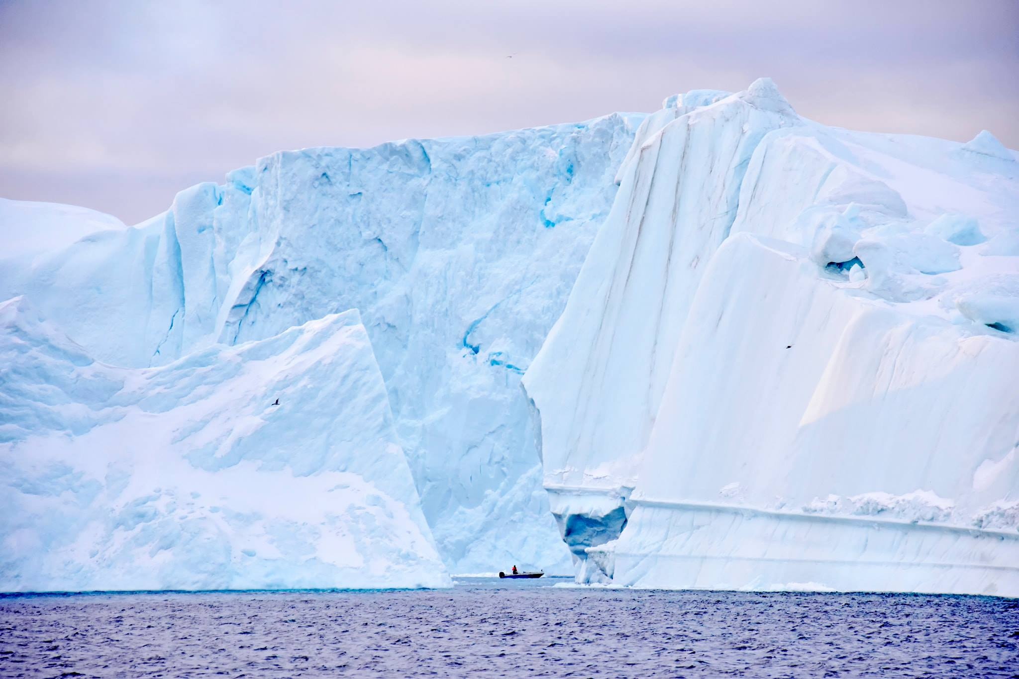 Cau chuyen Greenland anh 47