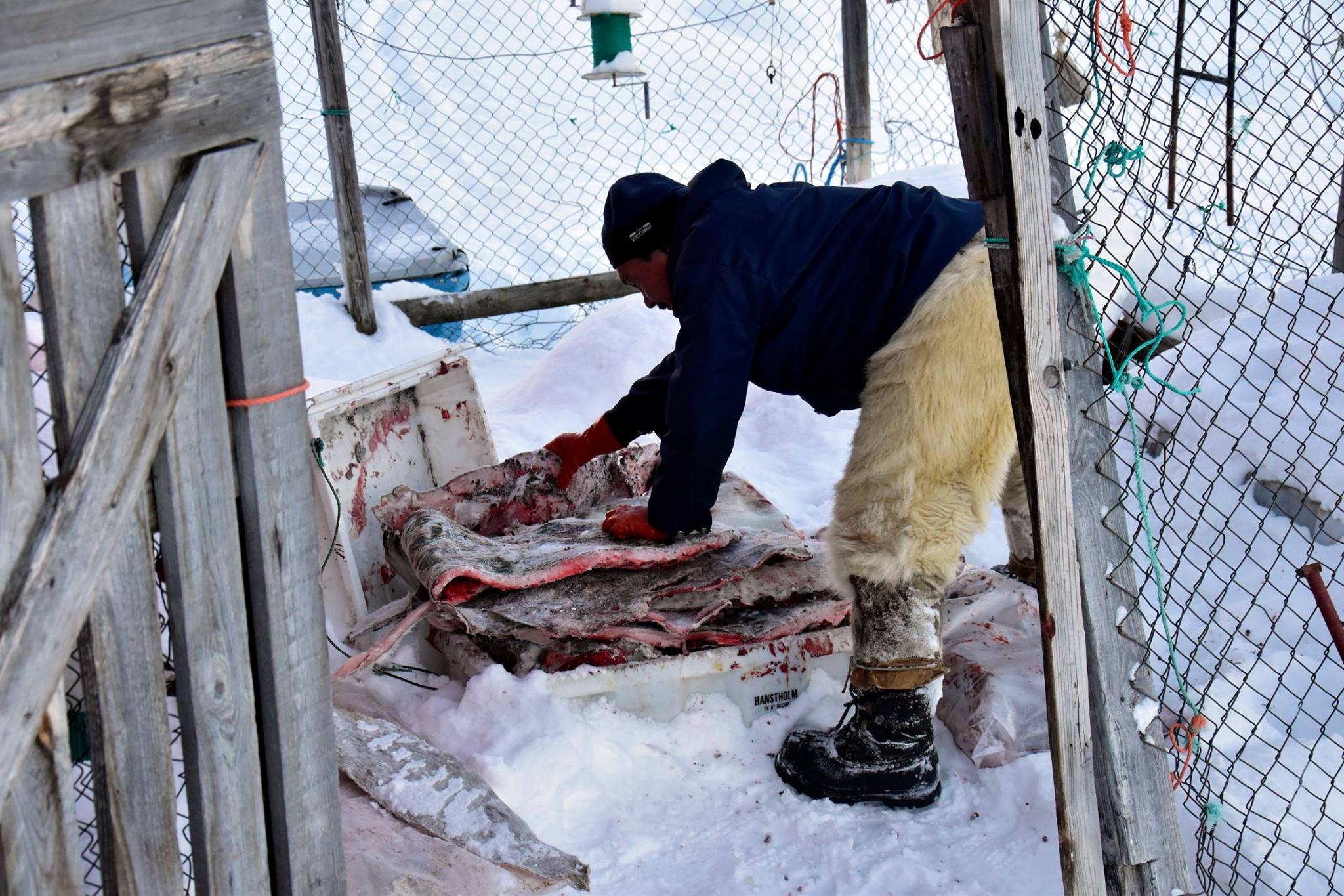 Cau chuyen Greenland anh 27