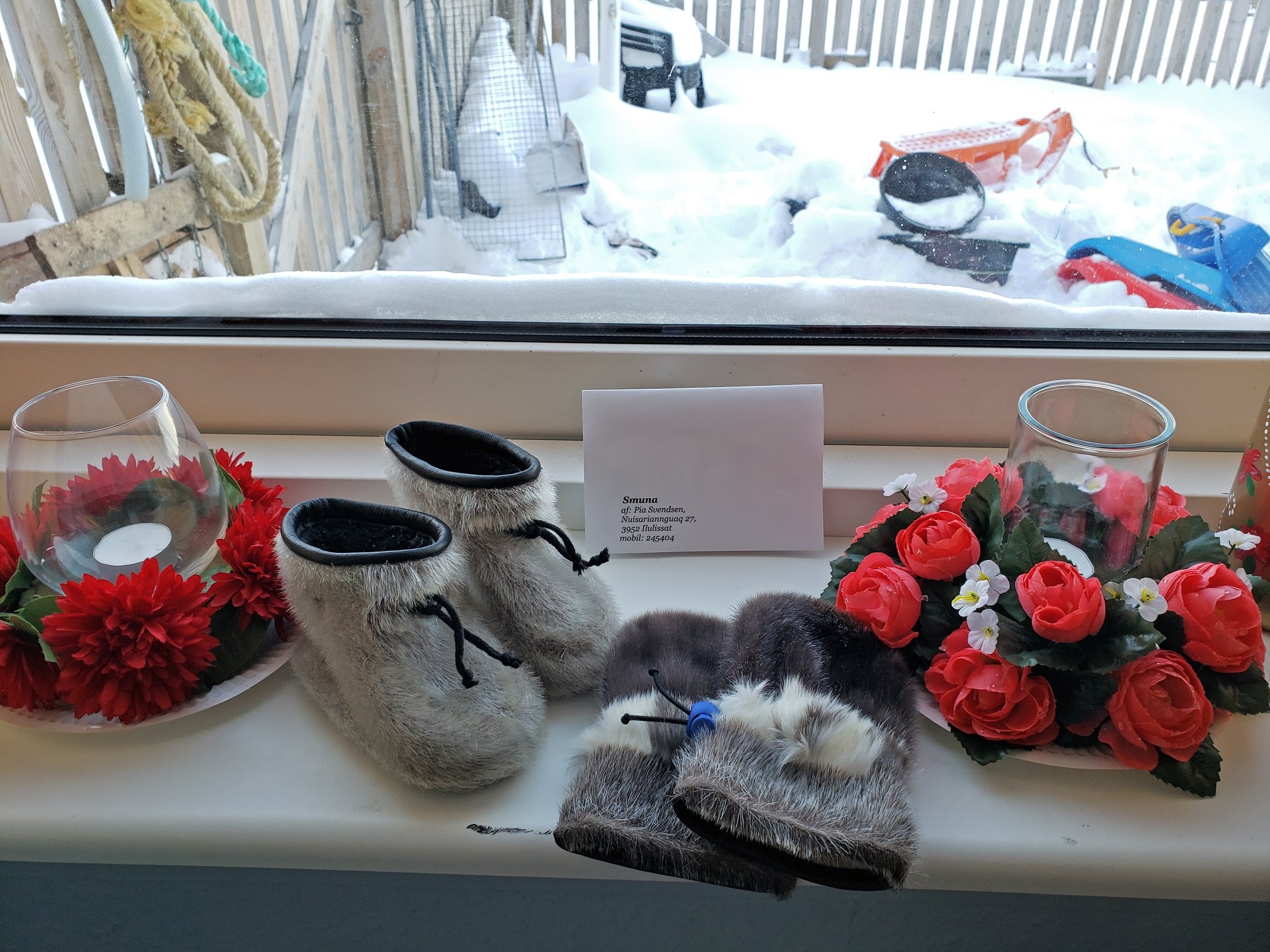 Cau chuyen Greenland anh 29