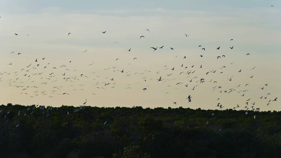 Du lich mien Tay Tet Duong lich anh 6