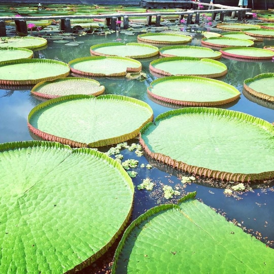 Du lich mien Tay Tet Duong lich anh 8