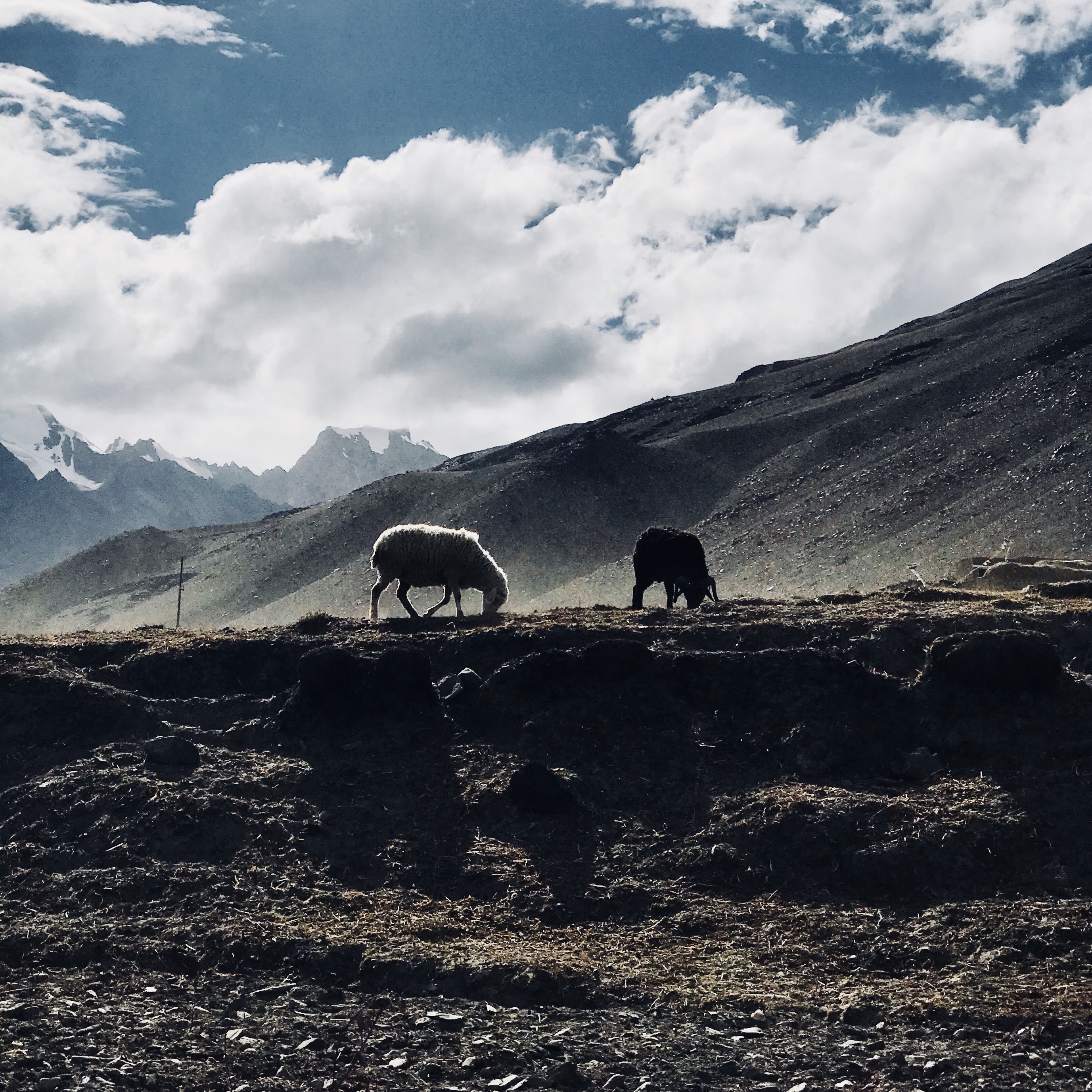 Hành trình Ladakh ảnh 12 Hanh trinh Ladakh anh 12