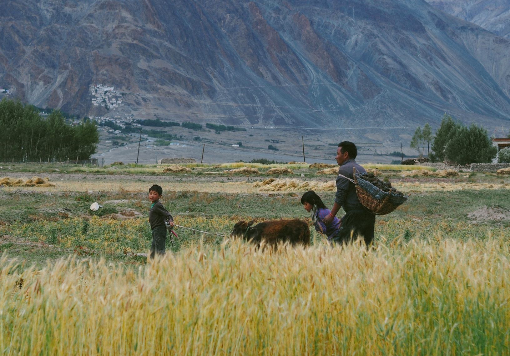 Hanh trinh Ladakh anh 44