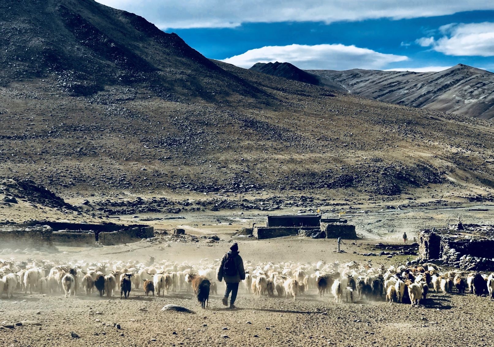 Hành trình Ladakh ảnh 28 Hanh trinh Ladakh anh 28