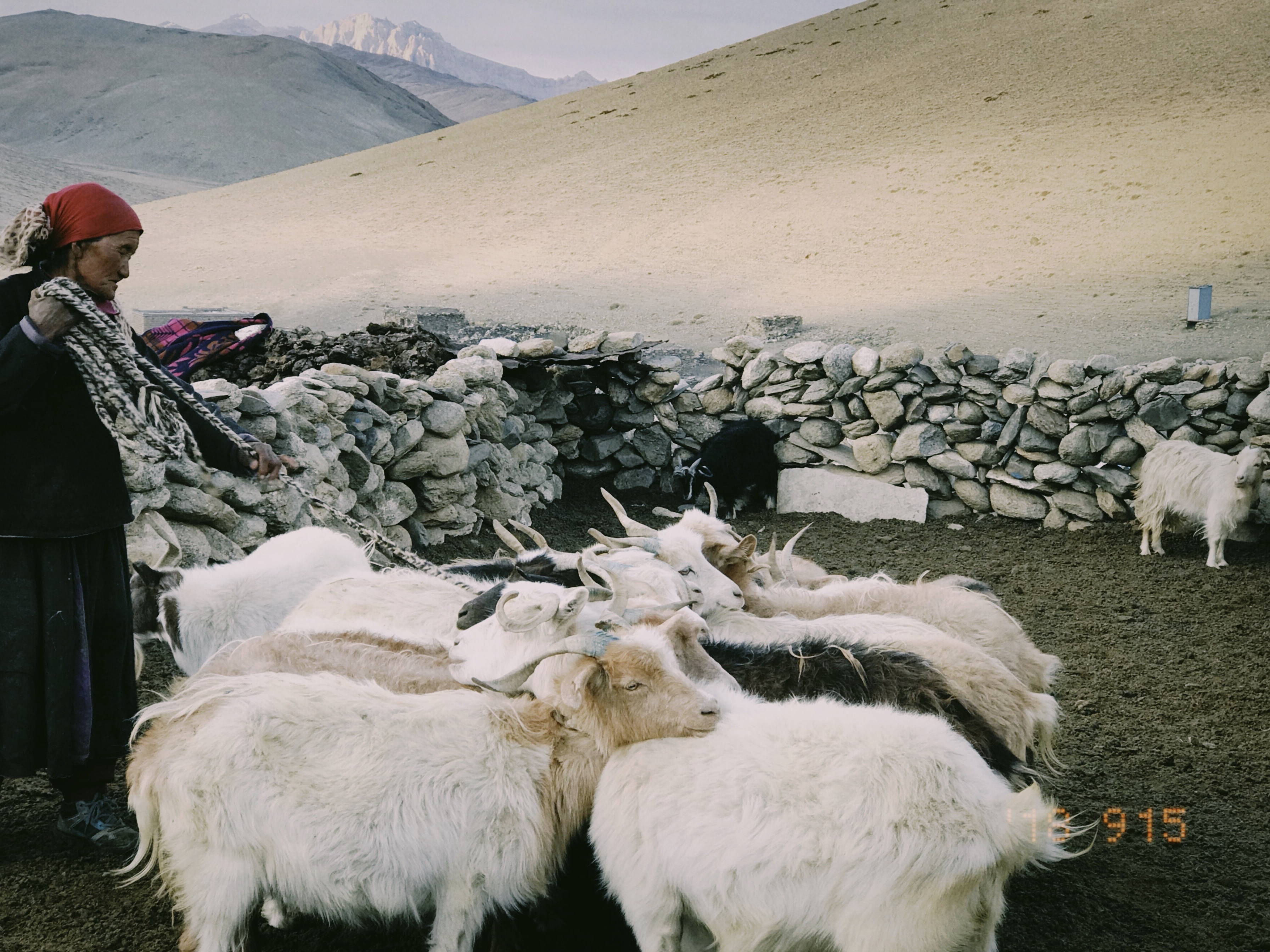 Hanh trinh Ladakh anh 38