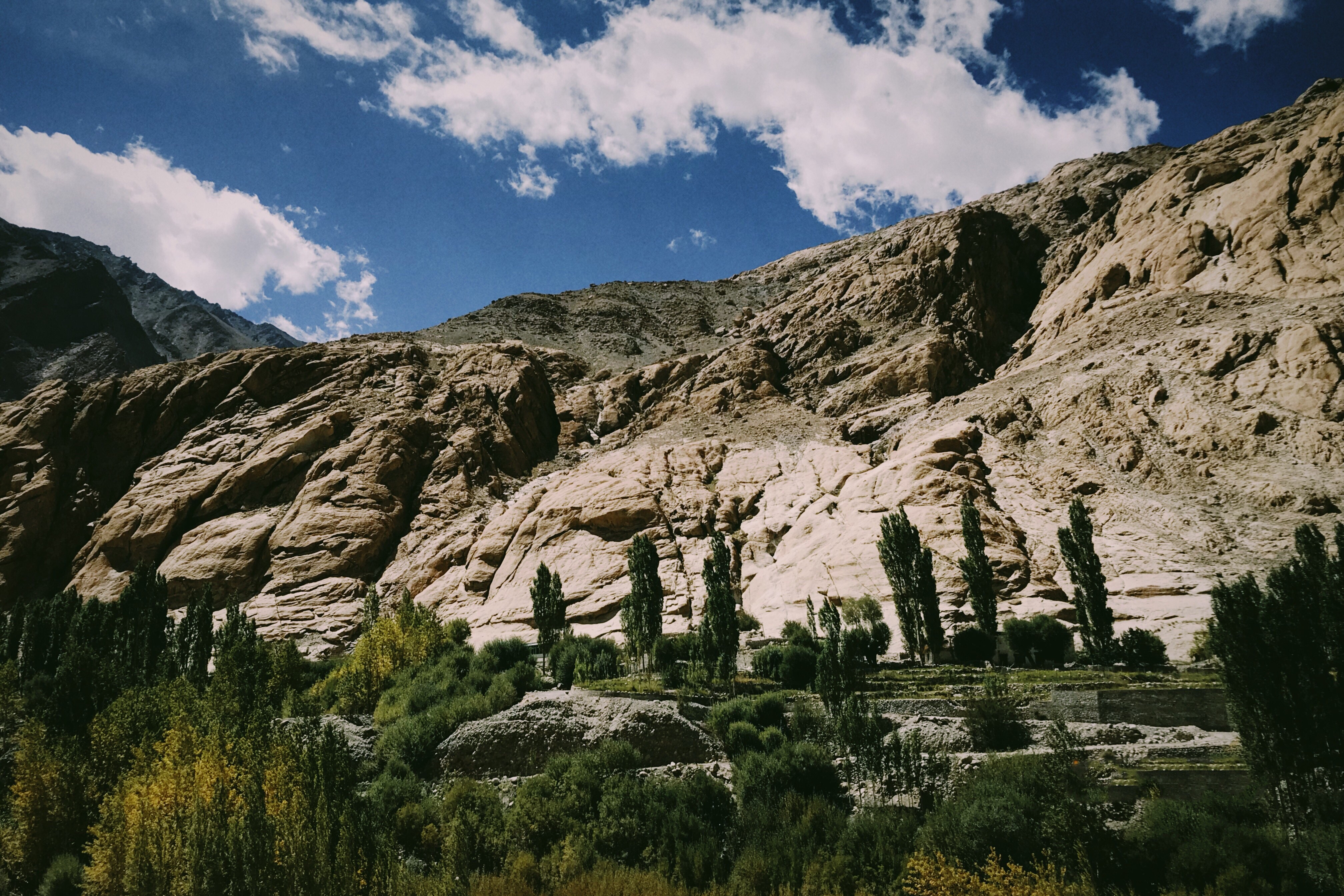 Hanh trinh Ladakh anh 9