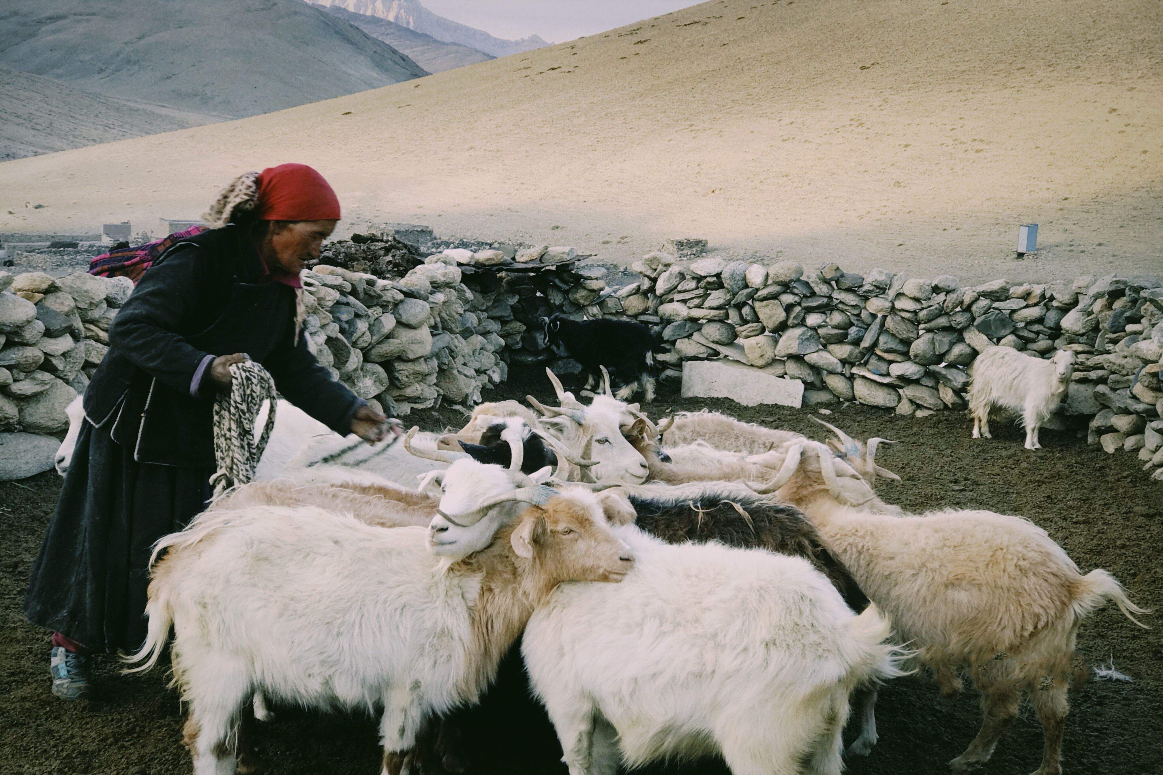 Hanh trinh Ladakh anh 46