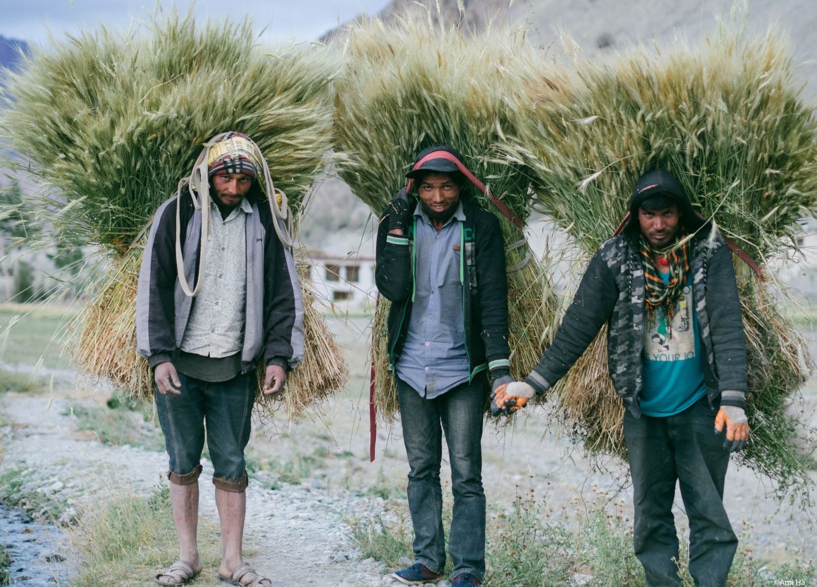 Duong den Ladakh - hanh trinh danh cho nhung doi chan khong biet moi hinh anh