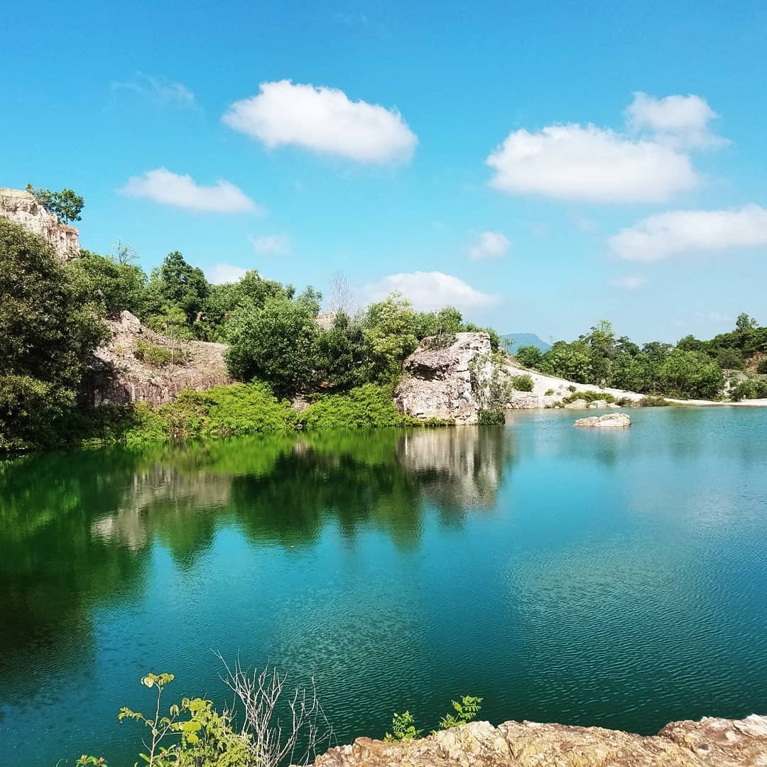 Tuyet tinh coc o Viet Nam anh 8