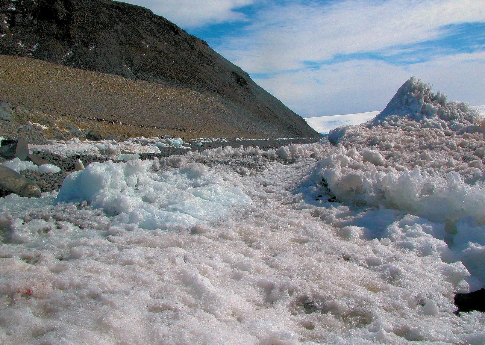 Chinh phuc Nam Cuc anh 14